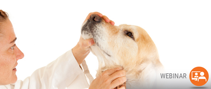 Veterinary Compounding - A Customized Approach